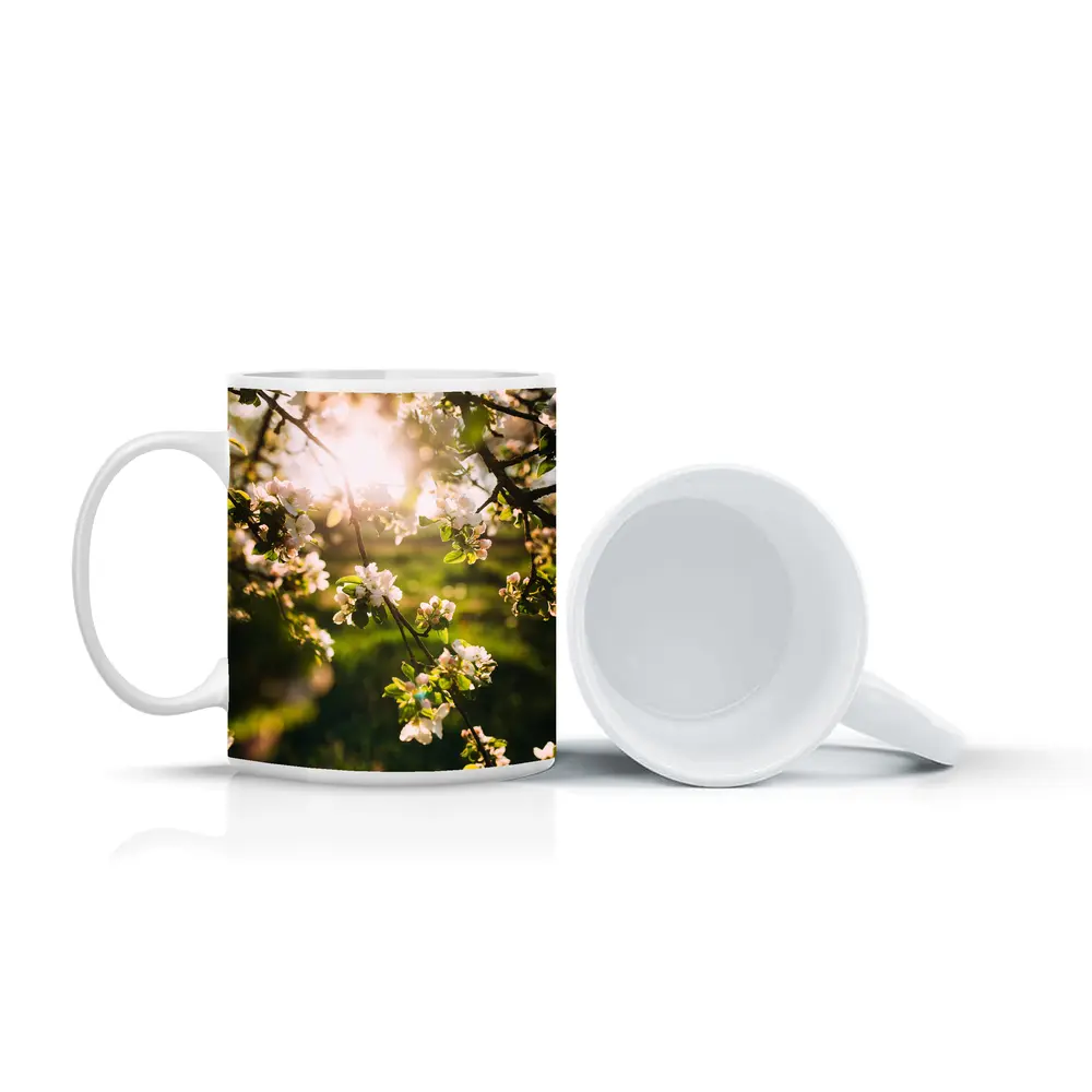 Apple Blossom Branches Sun Flare Spring – Mugs