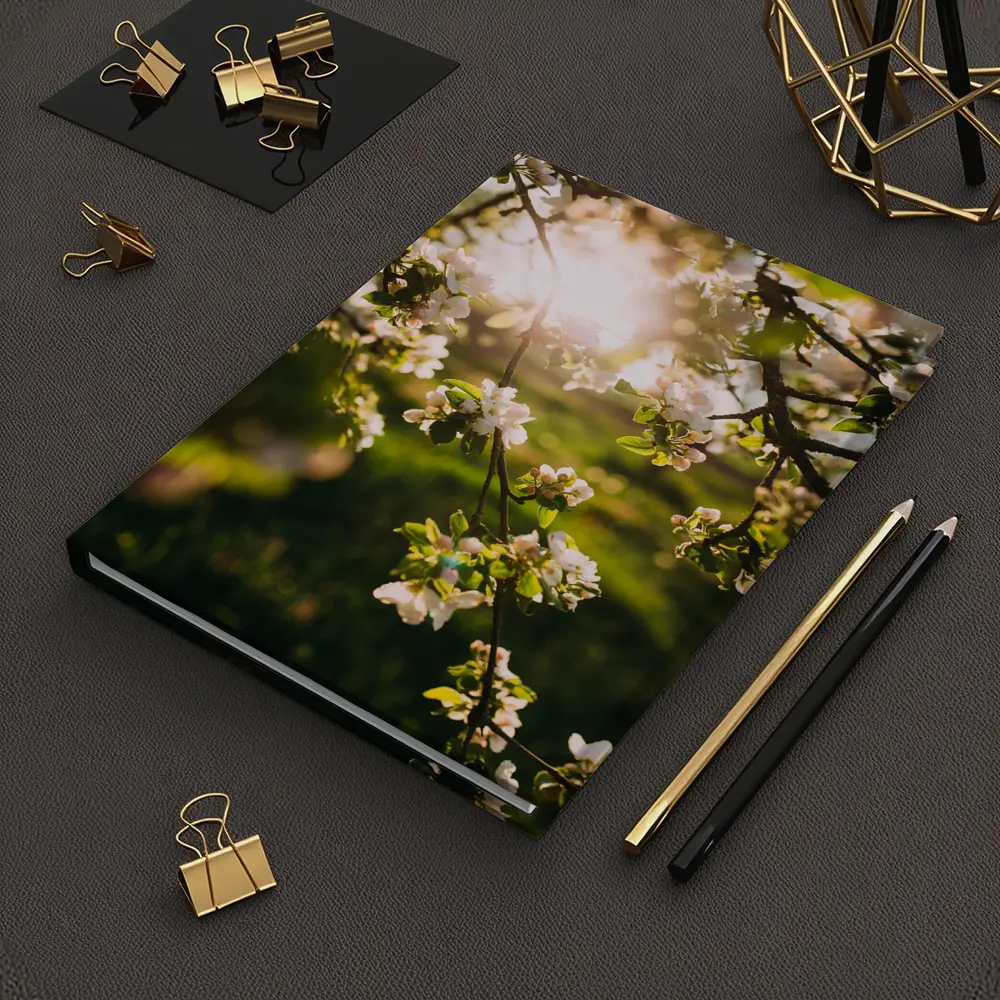 Apple Blossom Branches Sun Flare Spring – Notebooks
