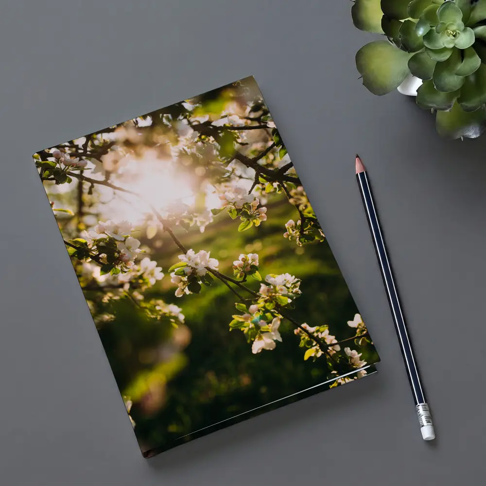 Apple Blossom Branches Sun Flare Spring – Notebooks