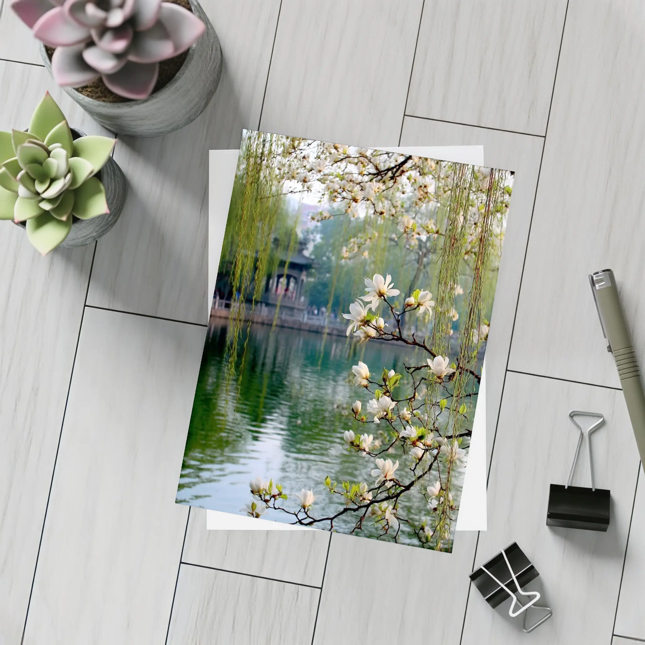 Magnolia Blossoms Over Calm Green Lake – Postcards