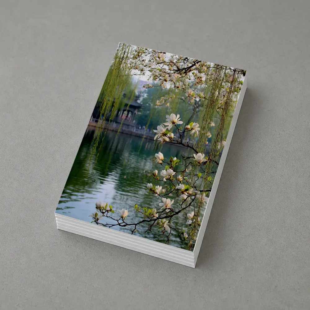 Magnolia Blossoms Over Calm Green Lake – Postcards