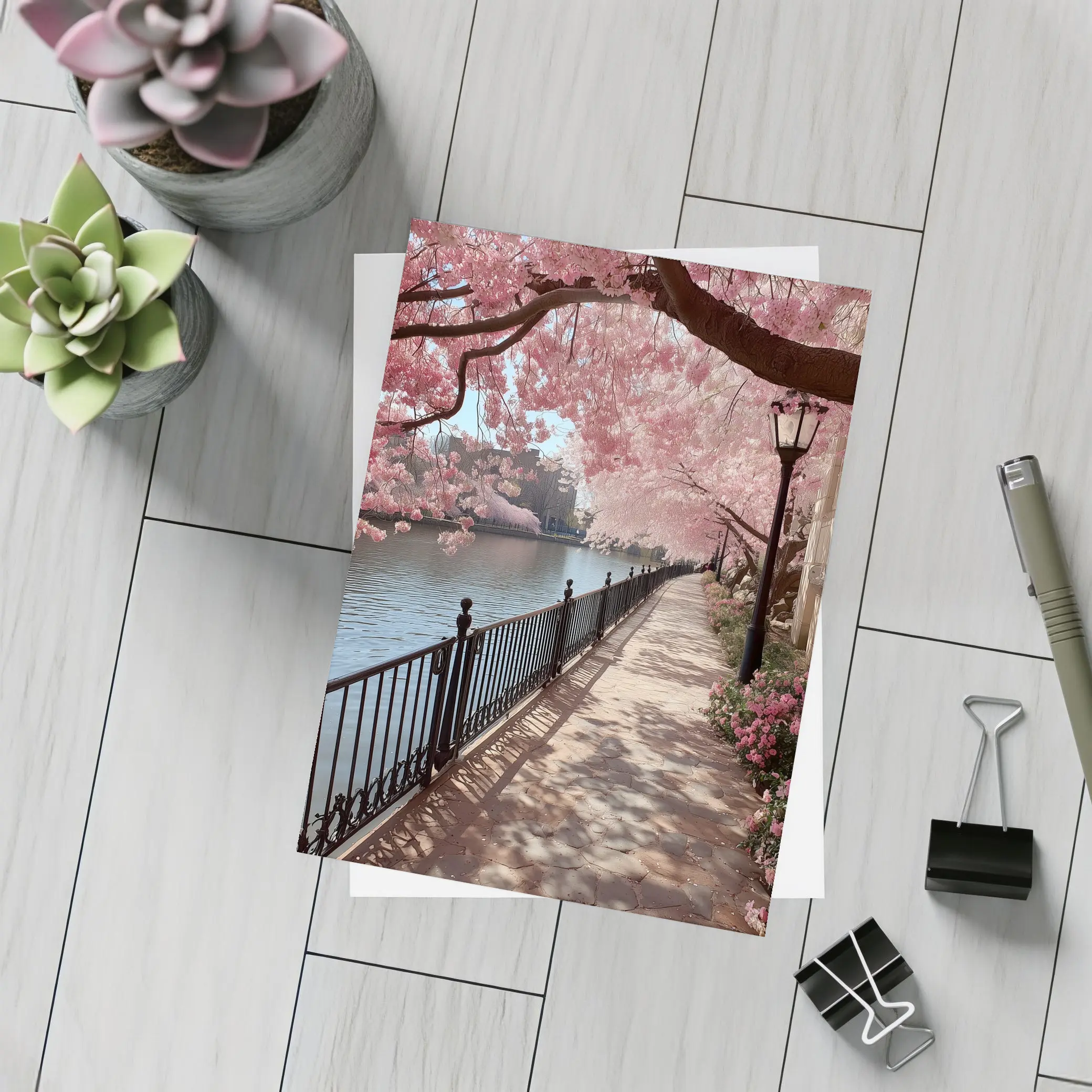 Cherry Blossom Waterfront Walkway Spring Scene – Postcards