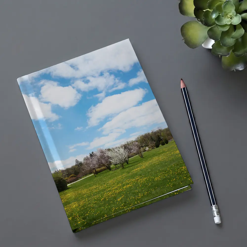 Spring Meadow Blooming Trees Blue Sky – Notebooks