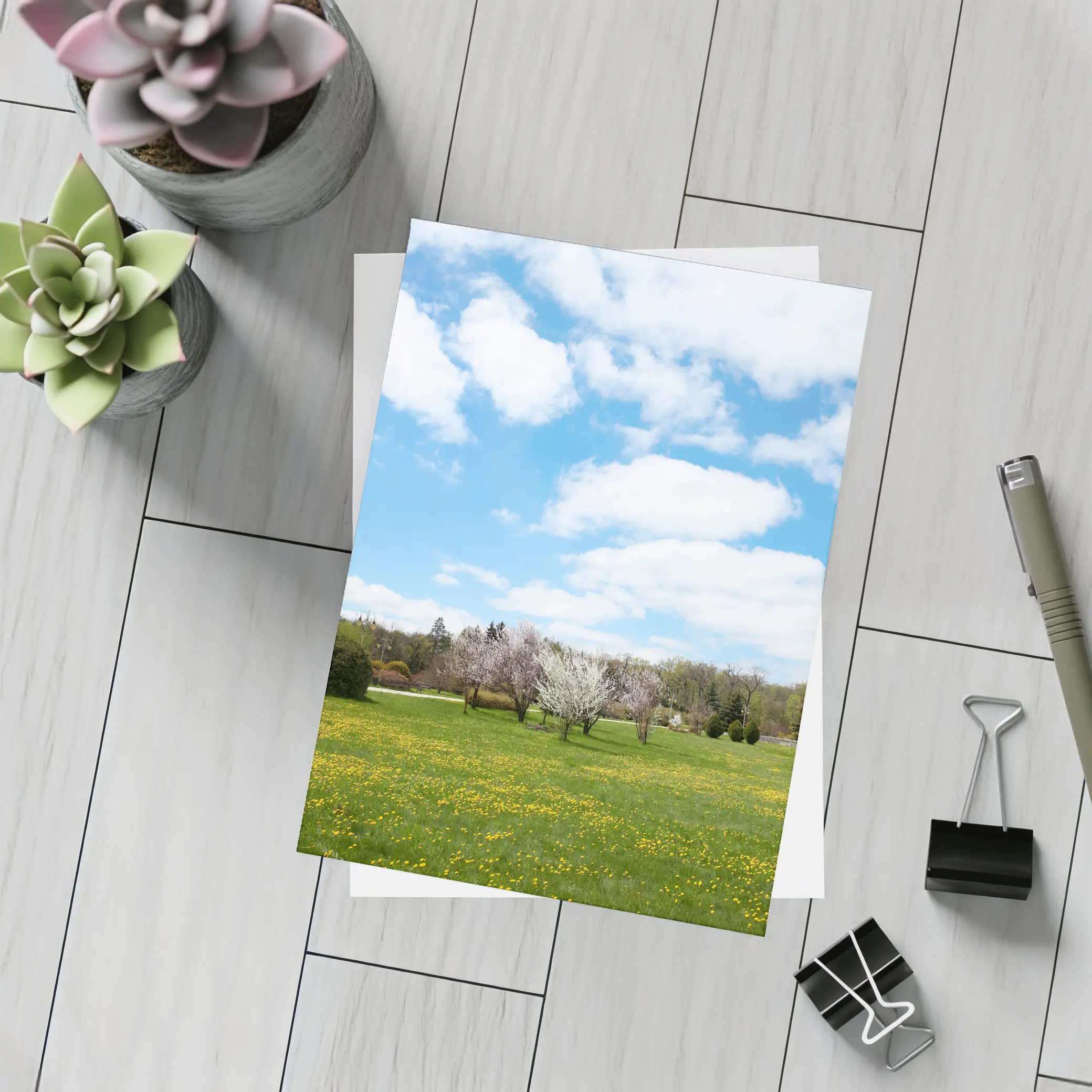 Spring Meadow Blooming Trees Blue Sky – Postcards