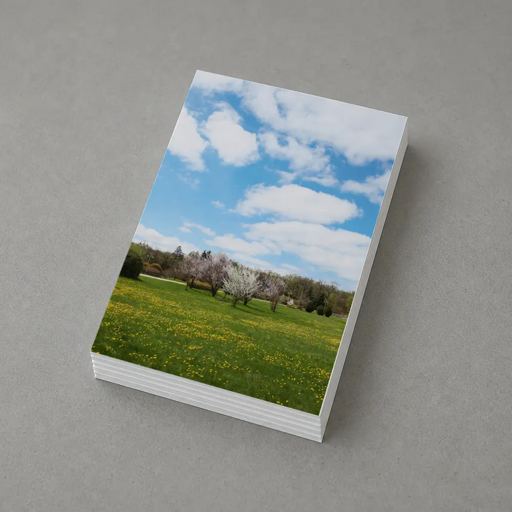 Spring Meadow Blooming Trees Blue Sky – Postcards