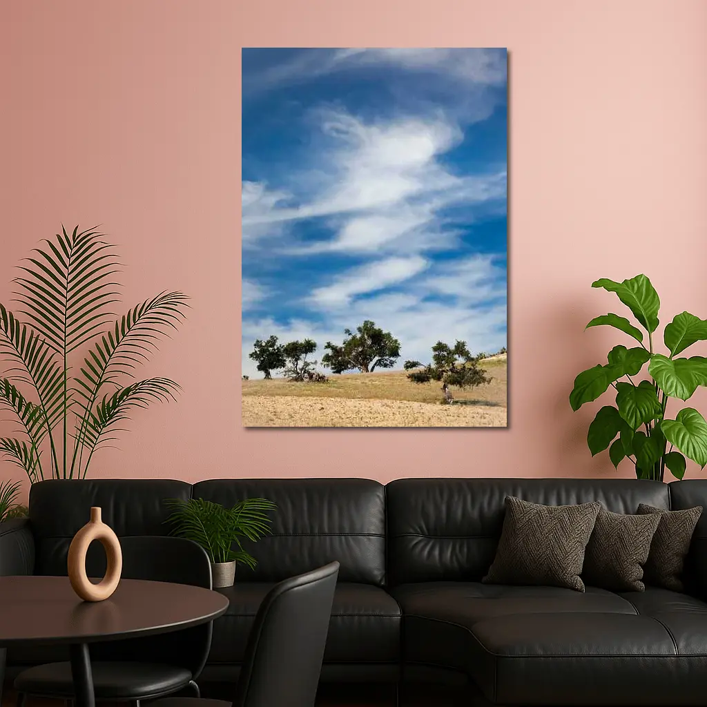 Argan Trees Under Blue Wispy Sky – Wall Art