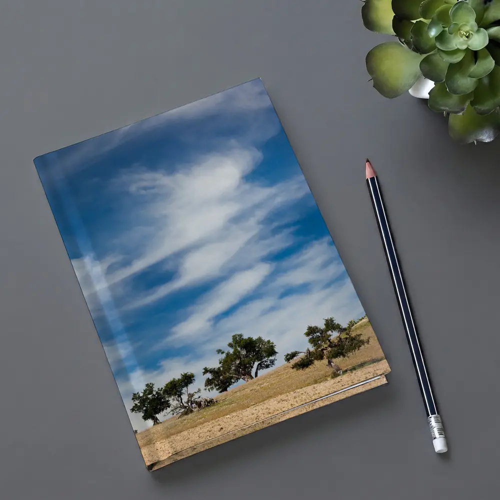 Argan Trees Under Blue Wispy Sky – Notebooks