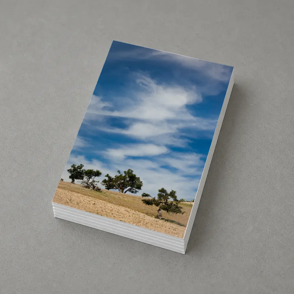 Argan Trees Under Blue Wispy Sky – Postcards