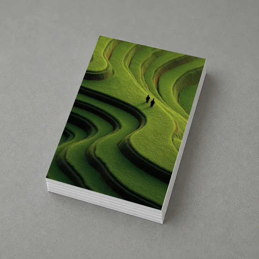 Two Figures Walking Green Rice Field Terraces – Postcards
