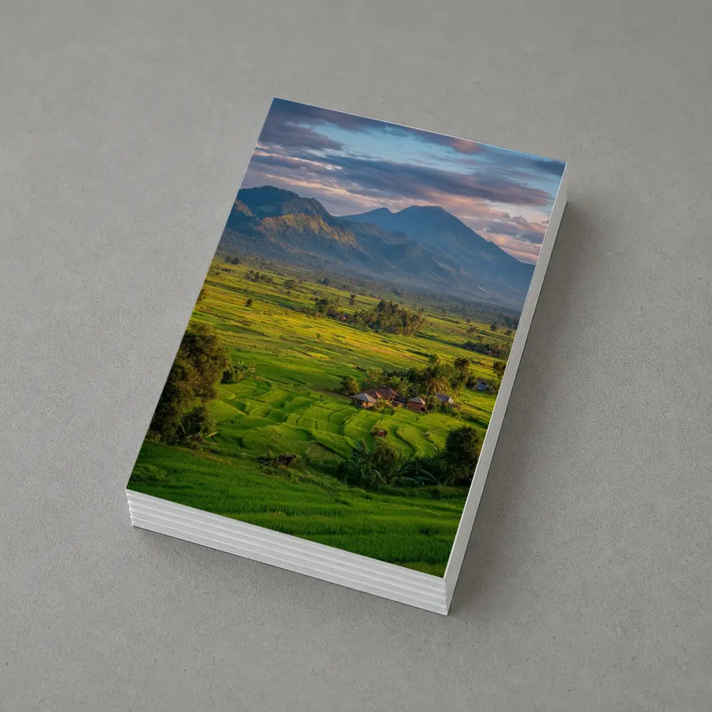 Green Rice Fields Mountain Sunset Landscape – Postcards