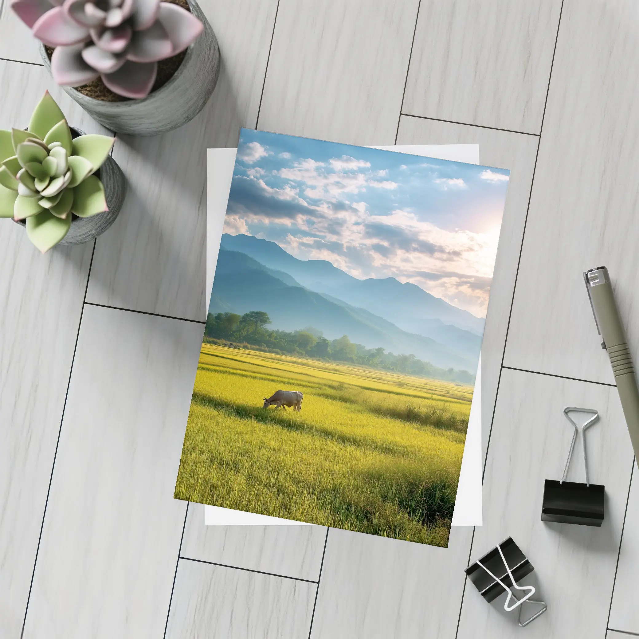 Buffalo Grazing Green Rice Fields Mountain Backdrop – Postcards