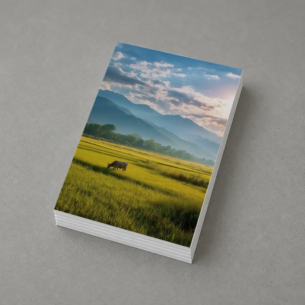 Buffalo Grazing Green Rice Fields Mountain Backdrop – Postcards