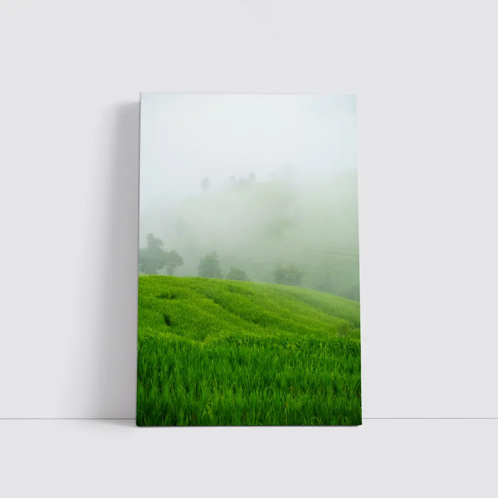 Green Rice Fields Misty Foggy Hillside – Wall Art