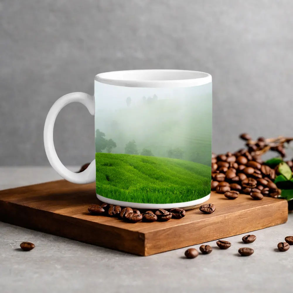 Green Rice Fields Misty Foggy Hillside – Mugs