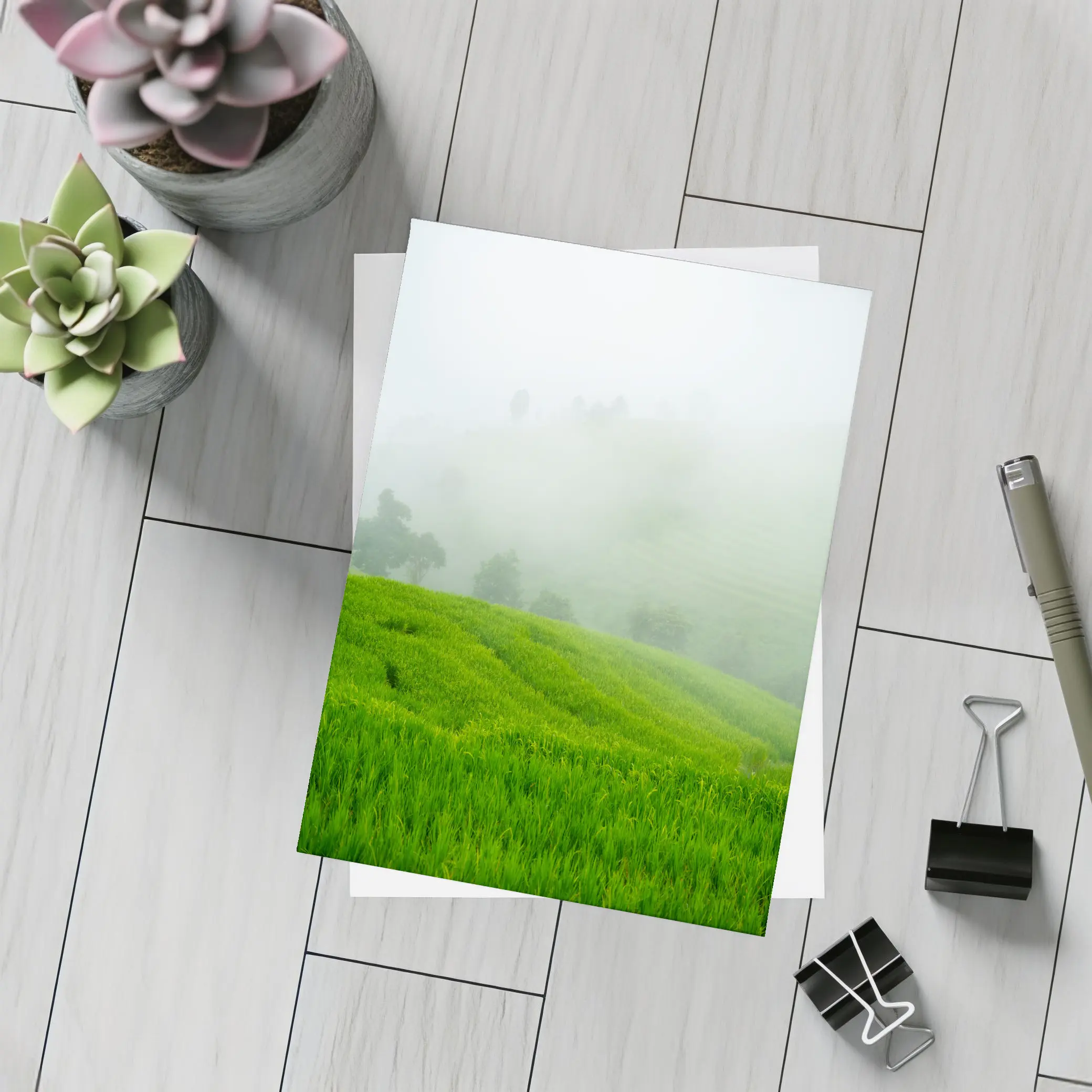 Green Rice Fields Misty Foggy Hillside – Postcards