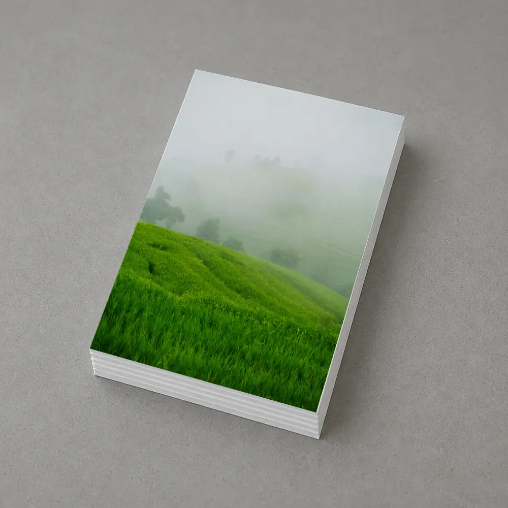 Green Rice Fields Misty Foggy Hillside – Postcards