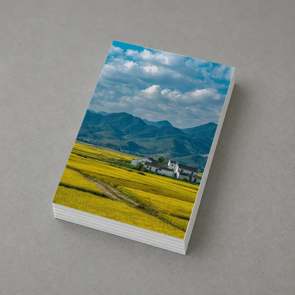 Golden Rice Fields Mountains Rural China – Postcards