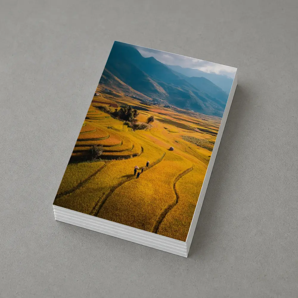 Golden Rice Fields Aerial Mountain Valley View – Postcards