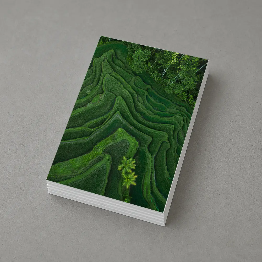 Aerial Green Rice Fields Bali Terraces – Postcards