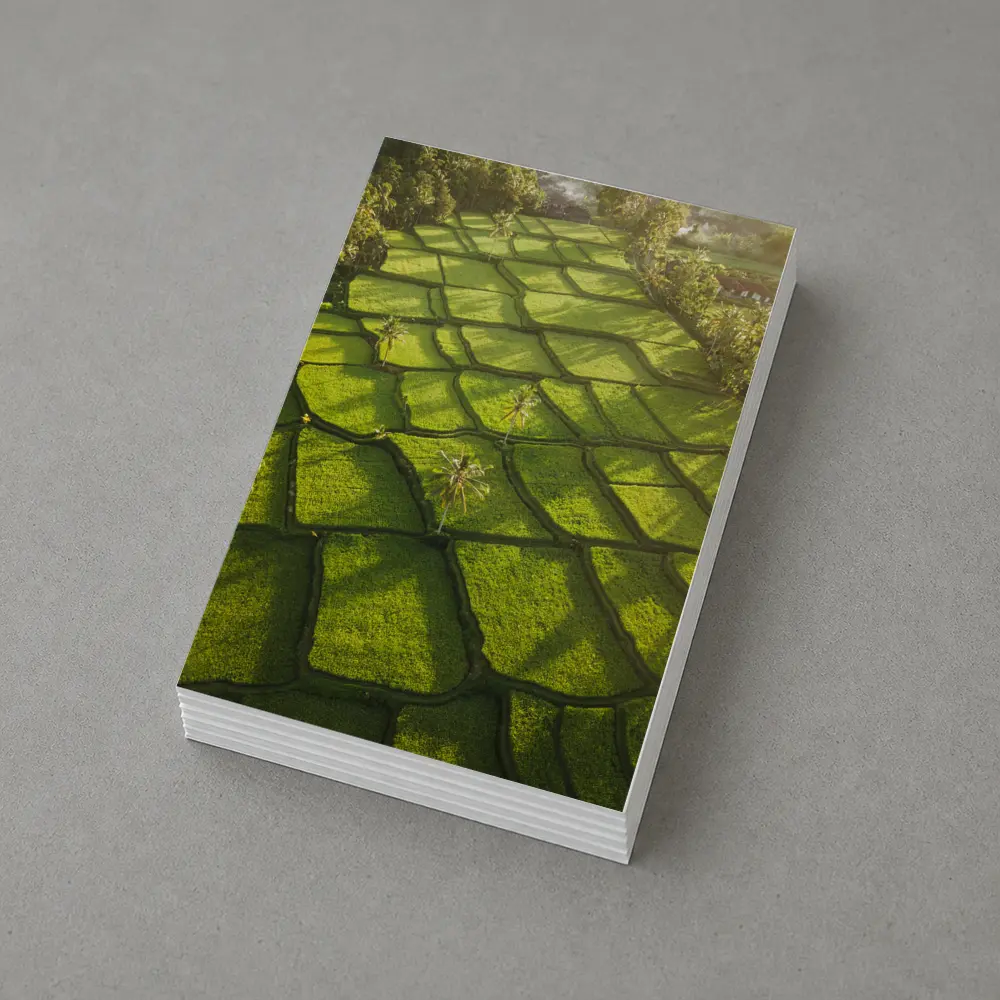 Aerial Rice Fields Green Tropical Landscape – Postcards