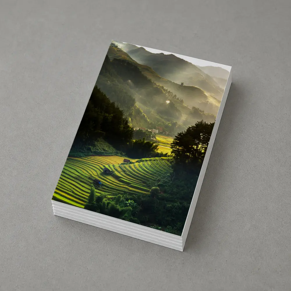Rice Fields Terraces Golden Misty Mountain Valley – Postcards