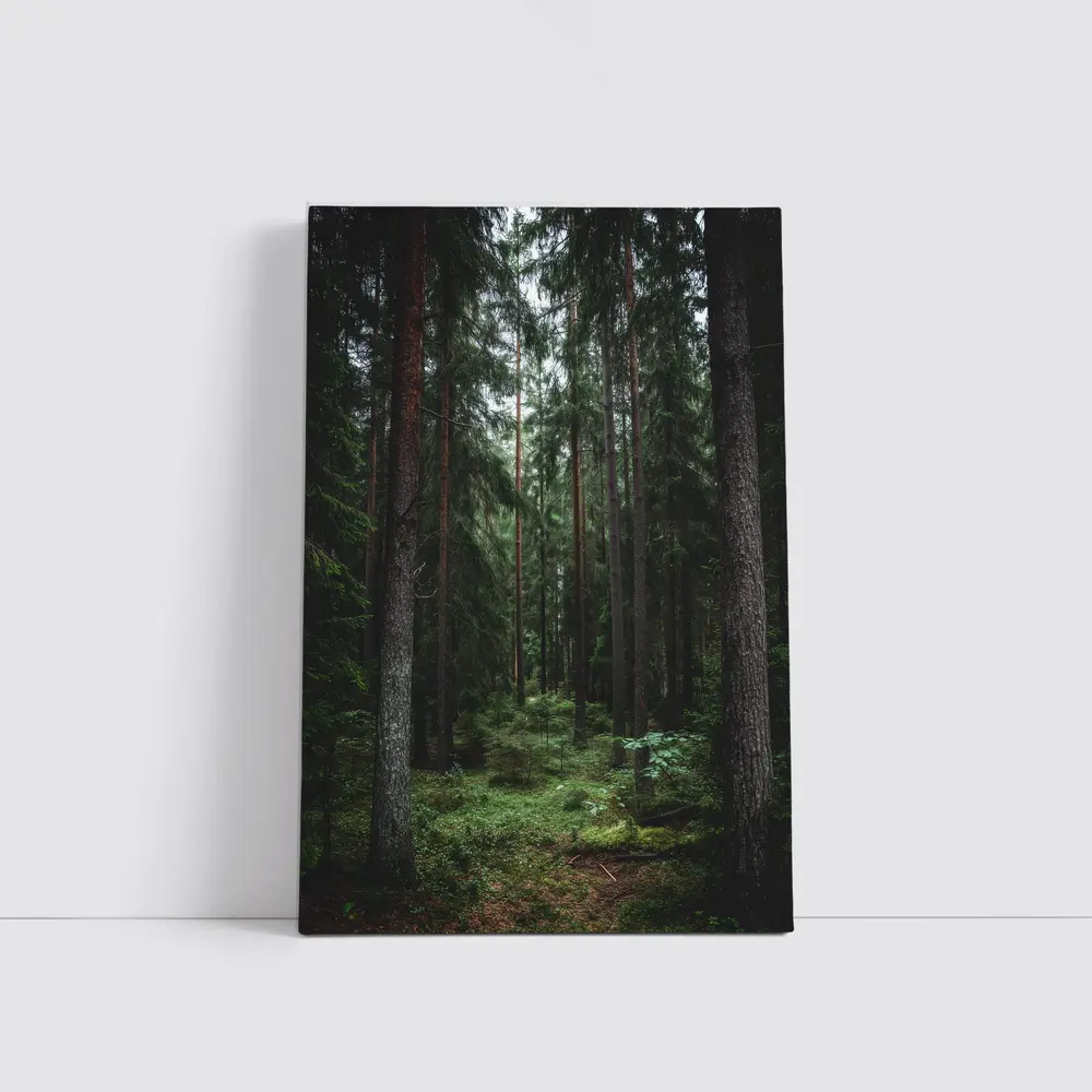 Dark Pine Forest Moss Green Woodland Scene – Wall Art