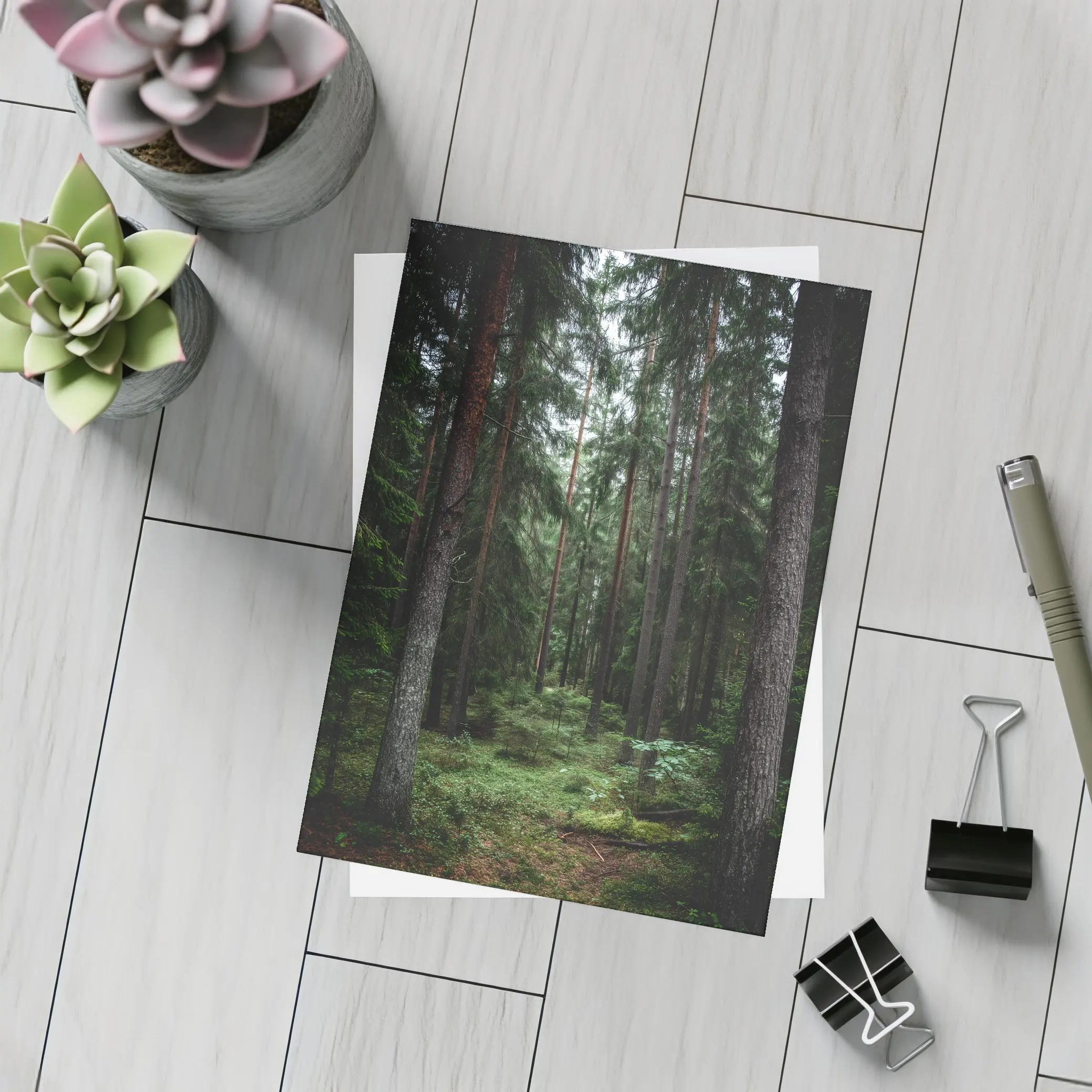 Dark Pine Forest Moss Green Woodland Scene – Postcards