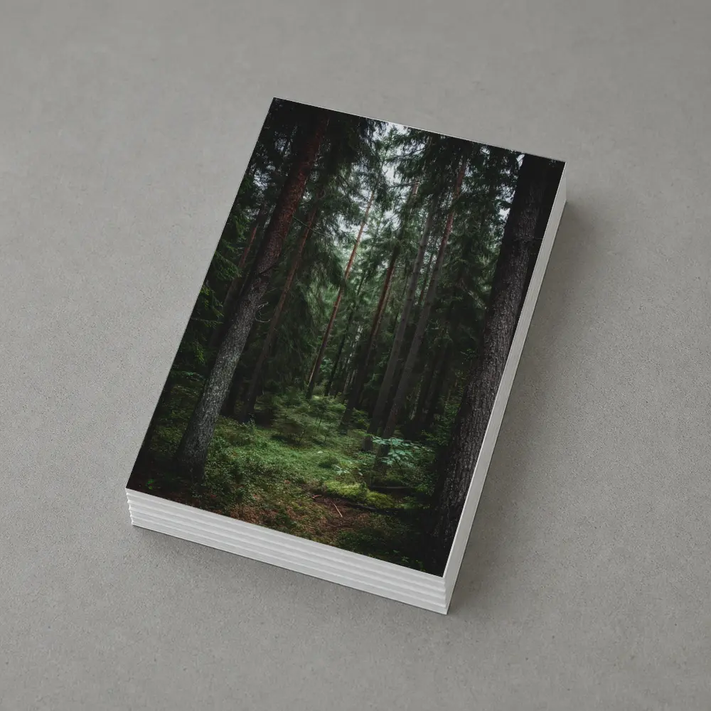 Dark Pine Forest Moss Green Woodland Scene – Postcards