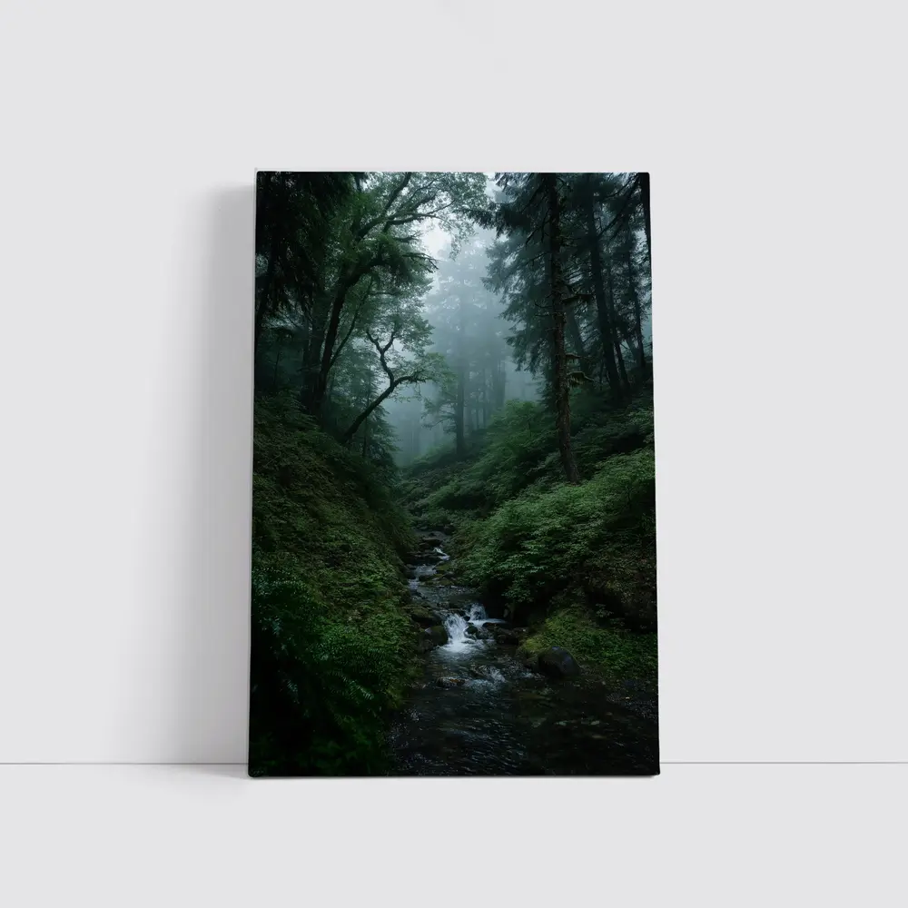 Misty Forest Stream Through Tall Dark Trees – Wall Art