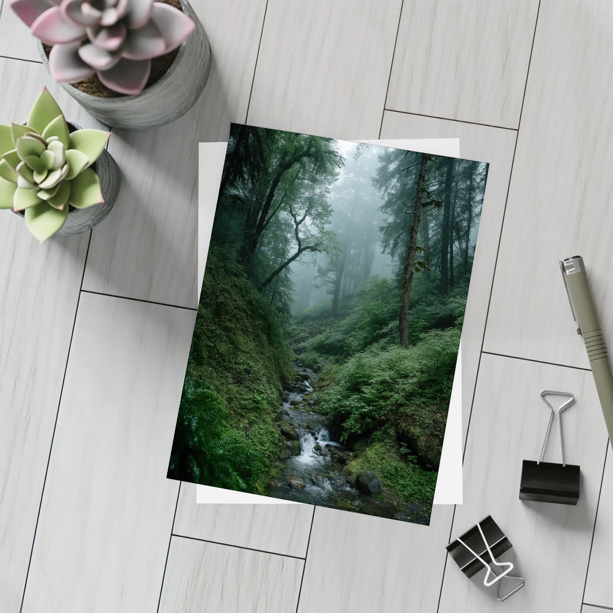 Misty Forest Stream Through Tall Dark Trees – Postcards