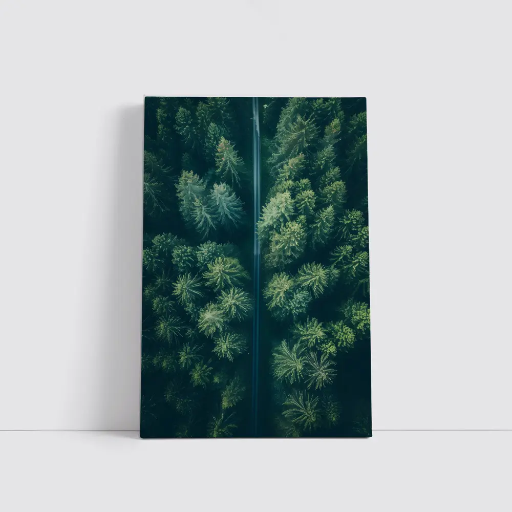 Aerial View Road Through Pine Forest – Wall Art