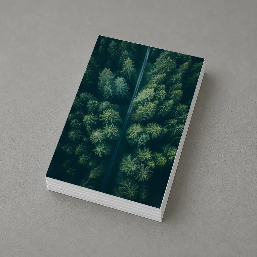 Aerial View Road Through Pine Forest – Postcards