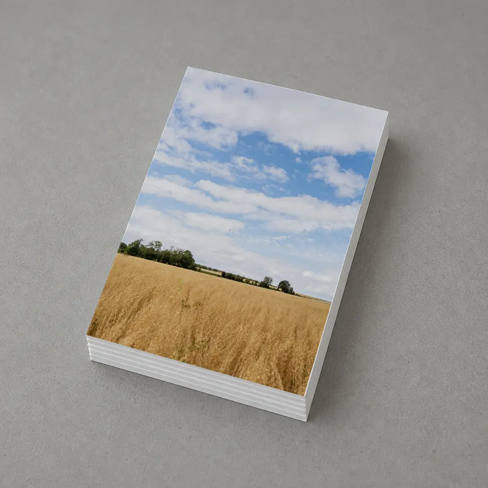 Golden Wheat Field Blue Summer Sky – Postcards