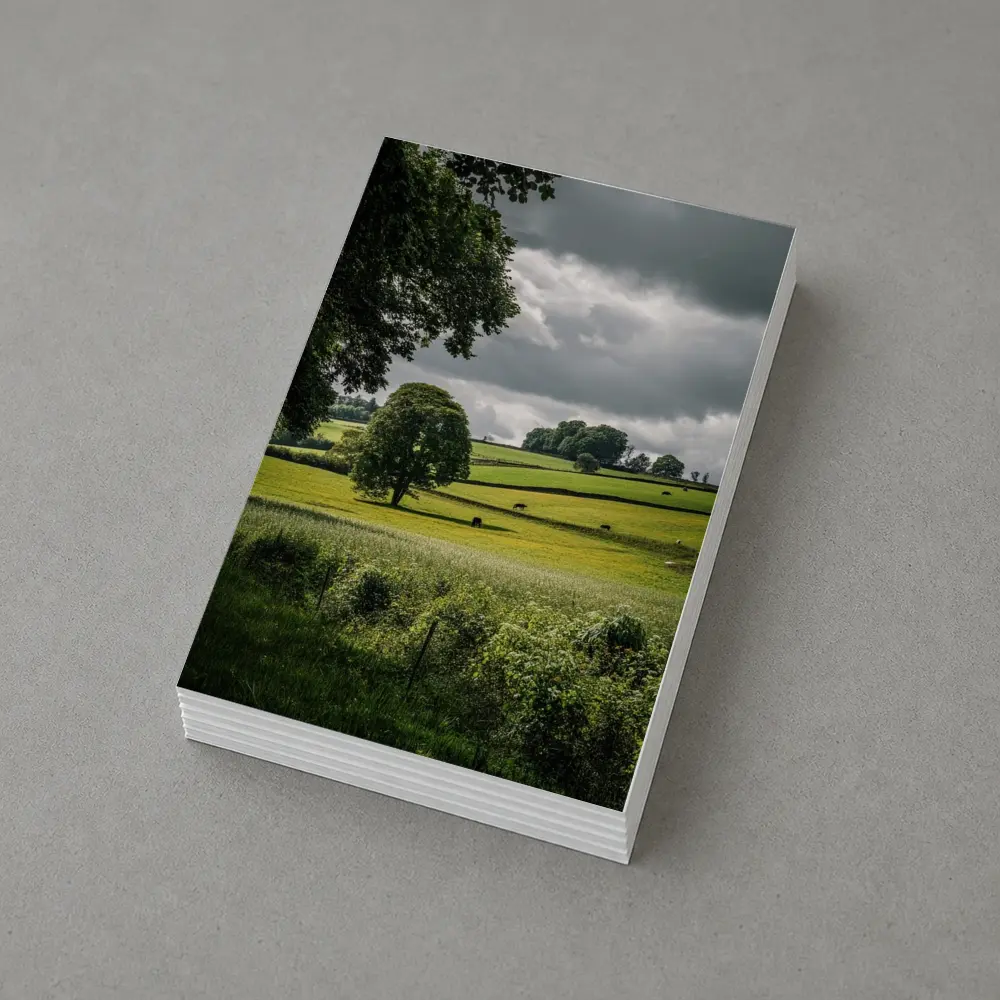 Rolling Green Fields Under Stormy Cloudy Sky – Postcards