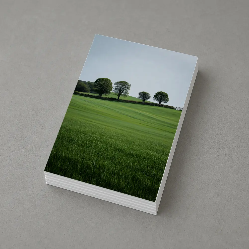 Green Rolling Fields With Trees Landscape – Postcards