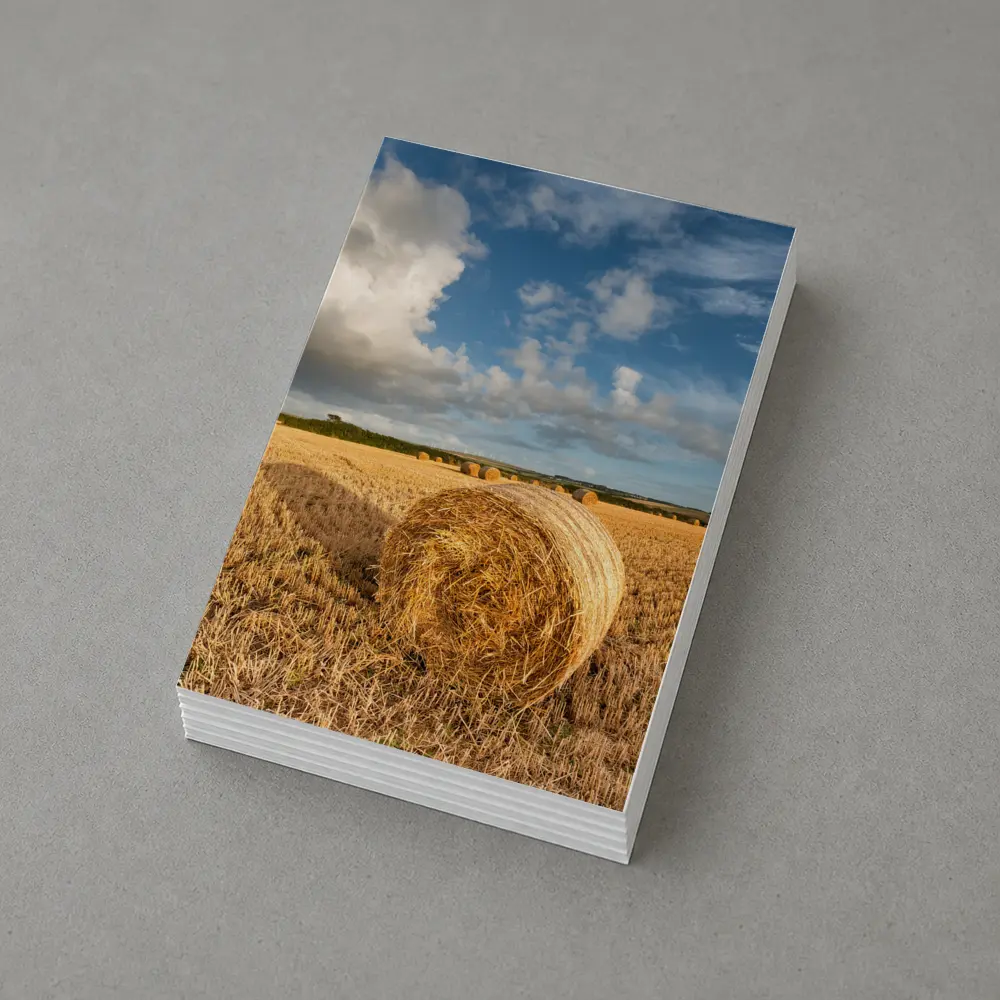 Hay Bale Golden Harvested Field Blue Sky – Postcards