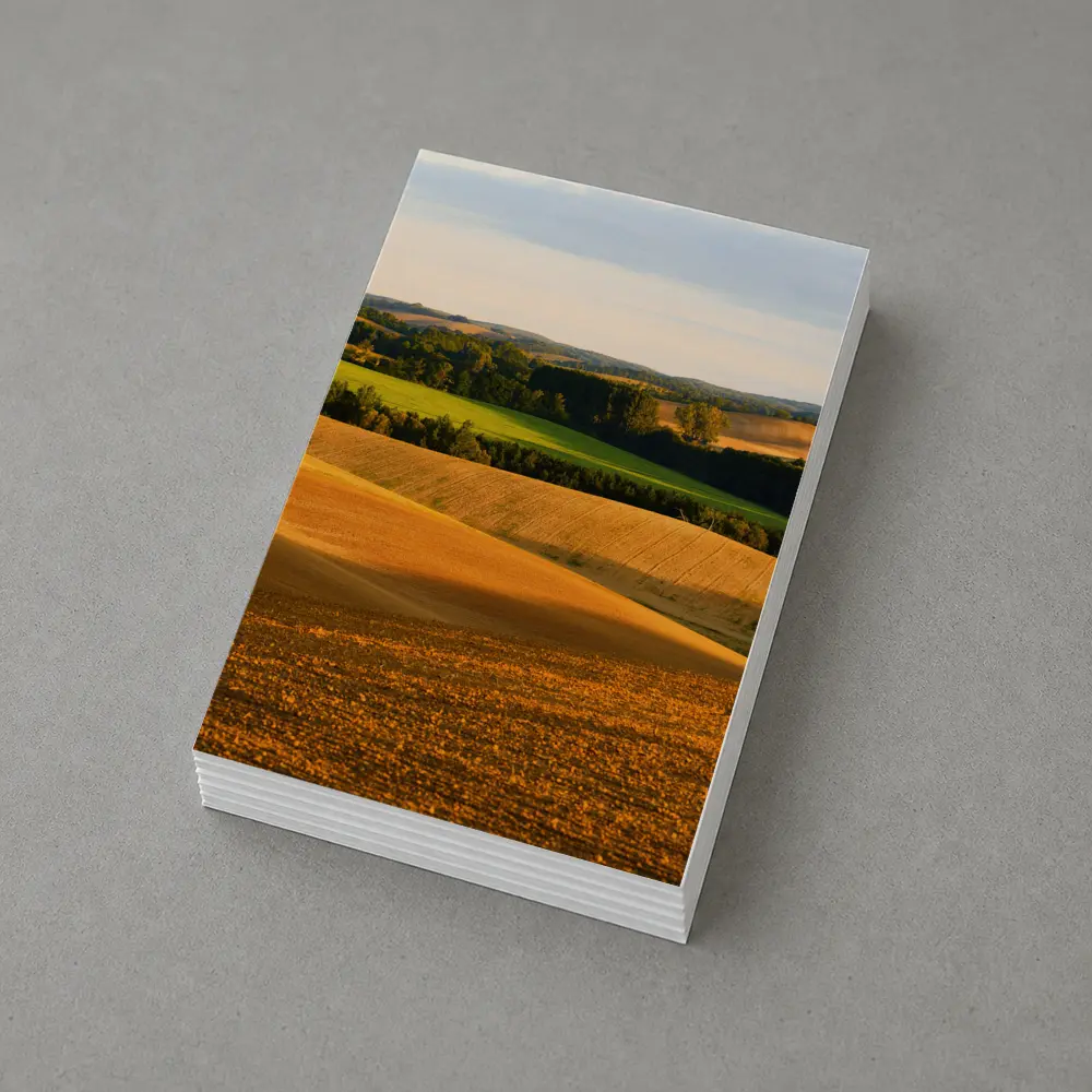 Golden Rolling Fields Green Trees Countryside – Postcards
