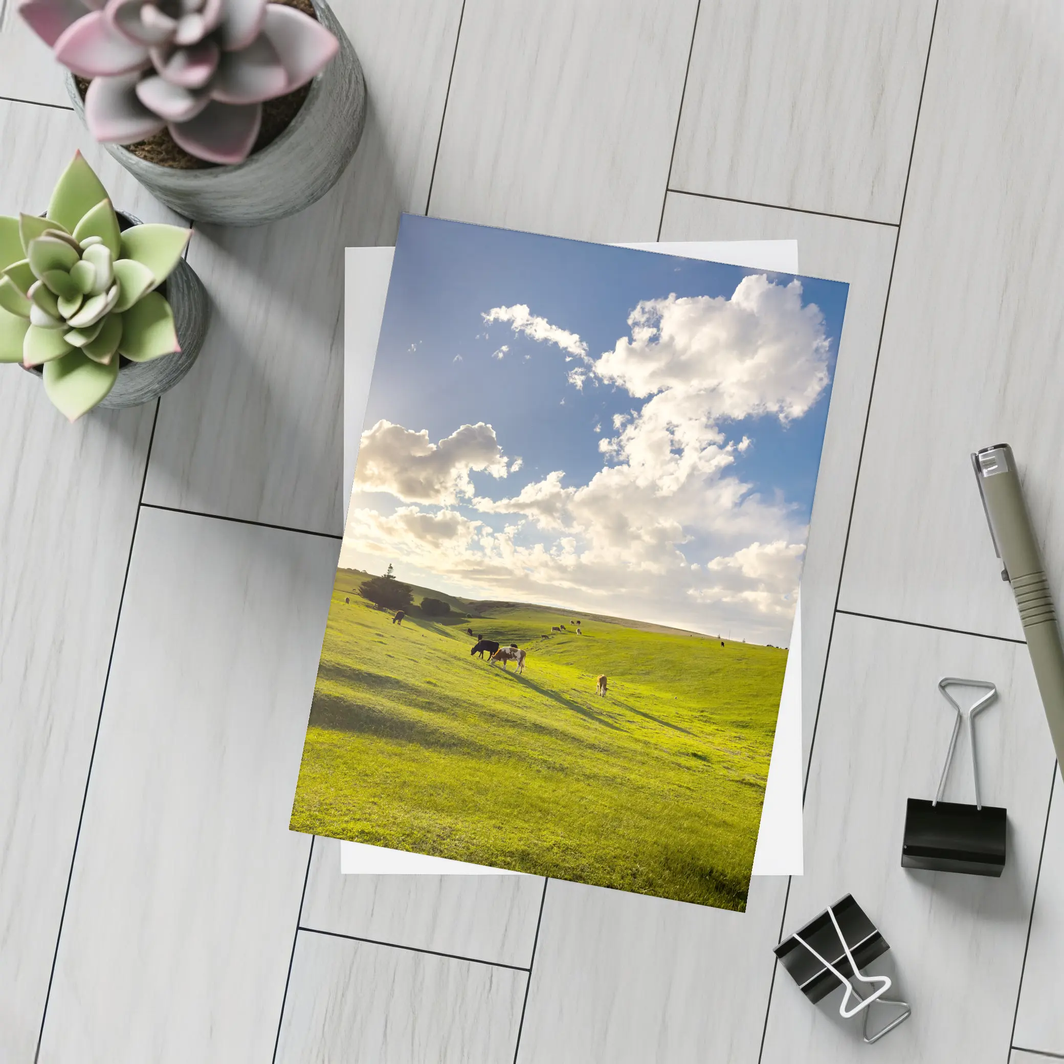 Cows Grazing Green Rolling Hills Sunny Sky – Postcards