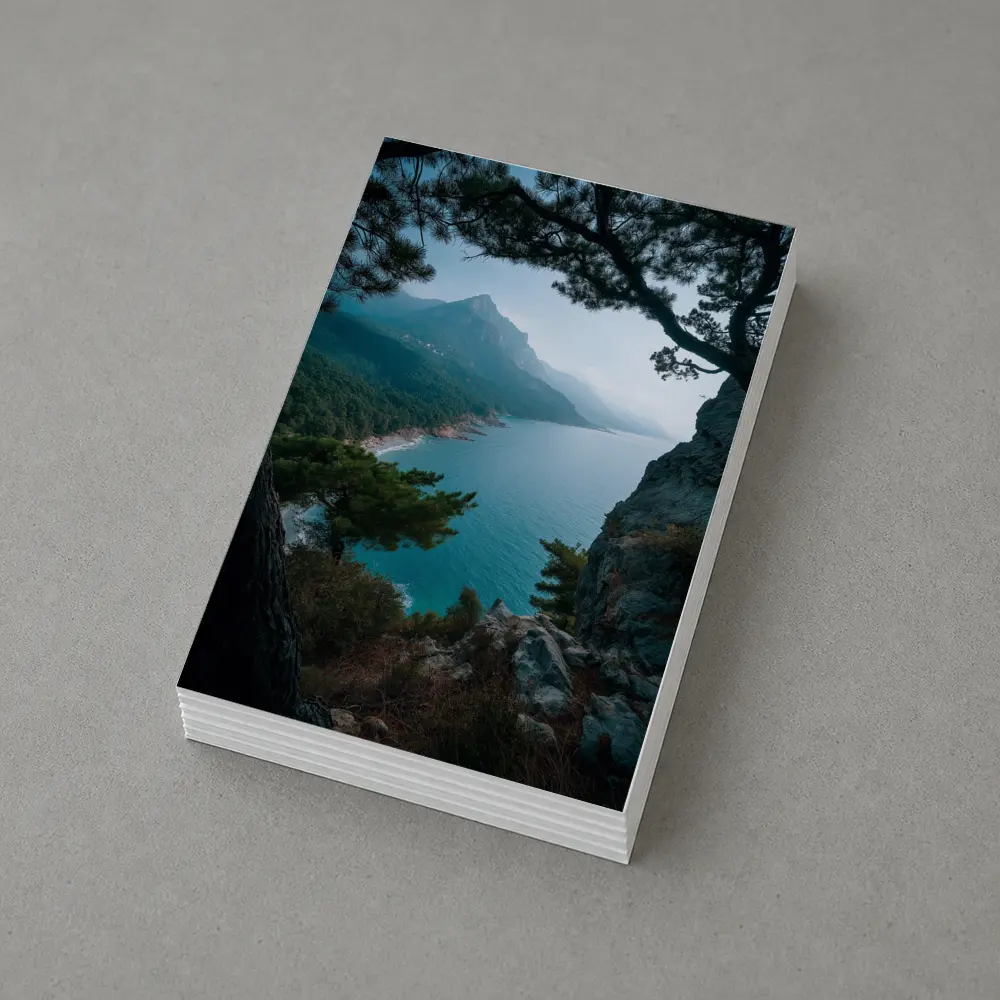 Rocky Coastal Cliffs Pine Trees Mountain View – Postcards