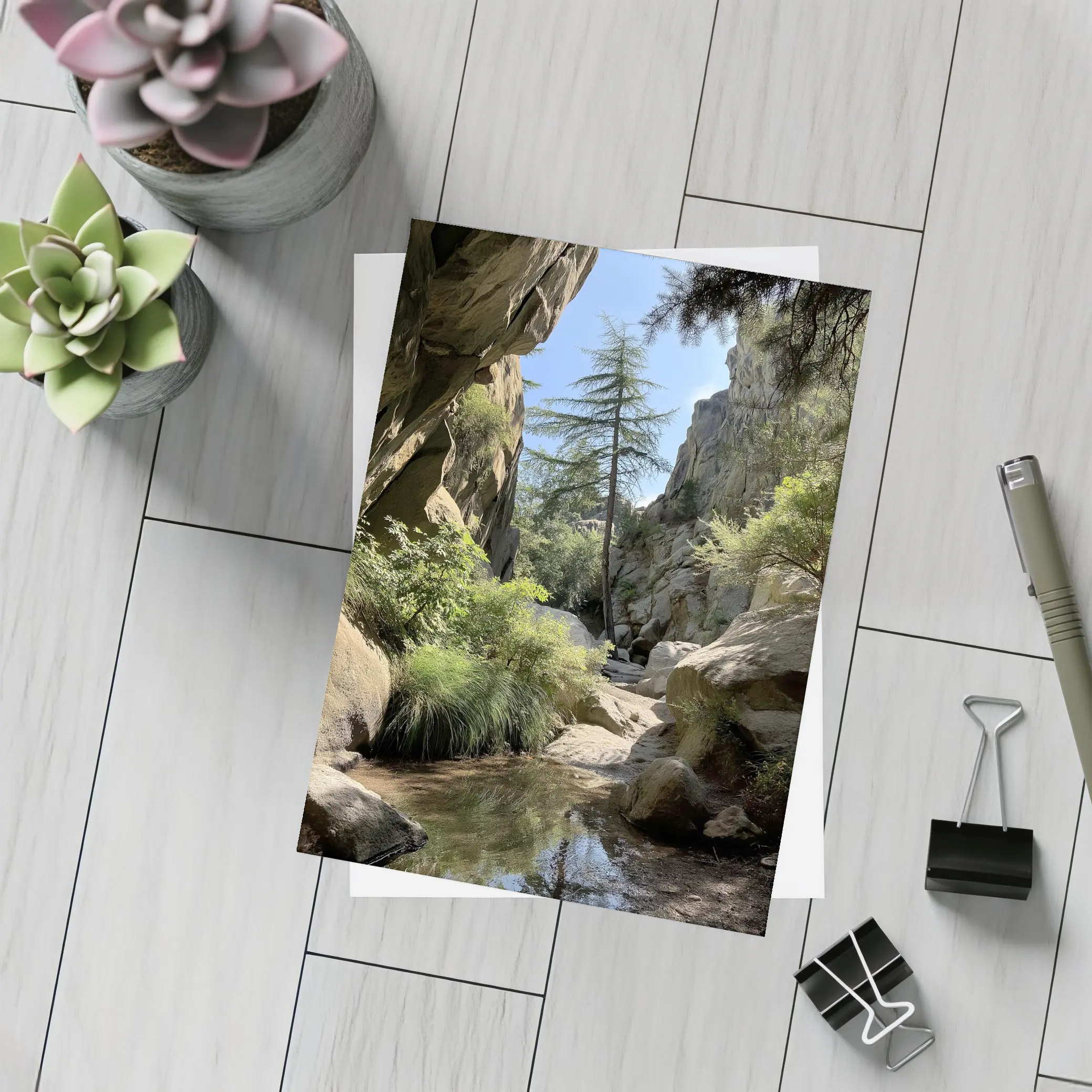 Rocky Canyon Creek With Tall Pine Tree – Postcards