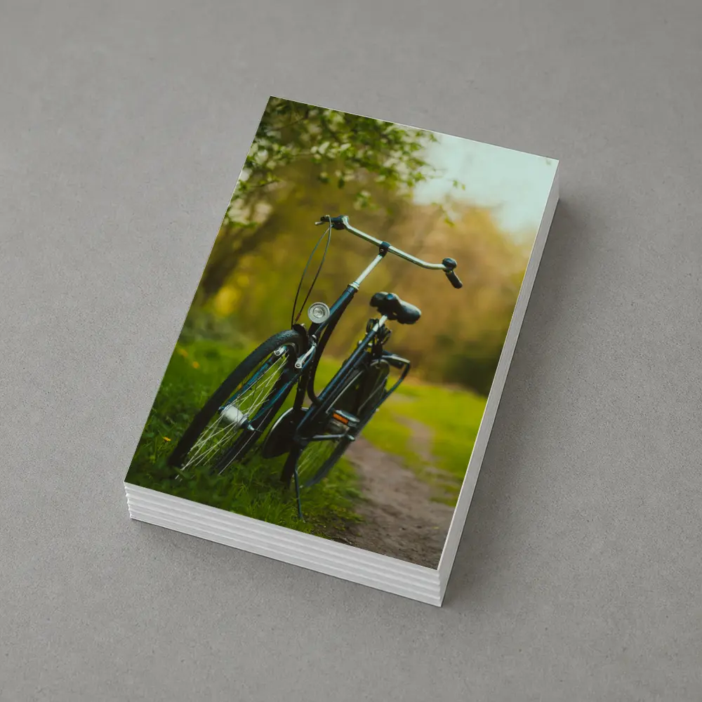 Black City Bicycle Parked On Green Path – Postcards