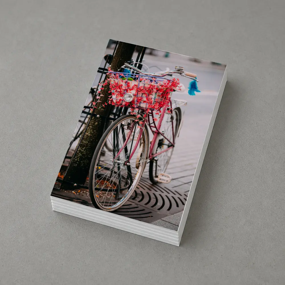 Pink Bicycle With Flowers On City Street – Postcards