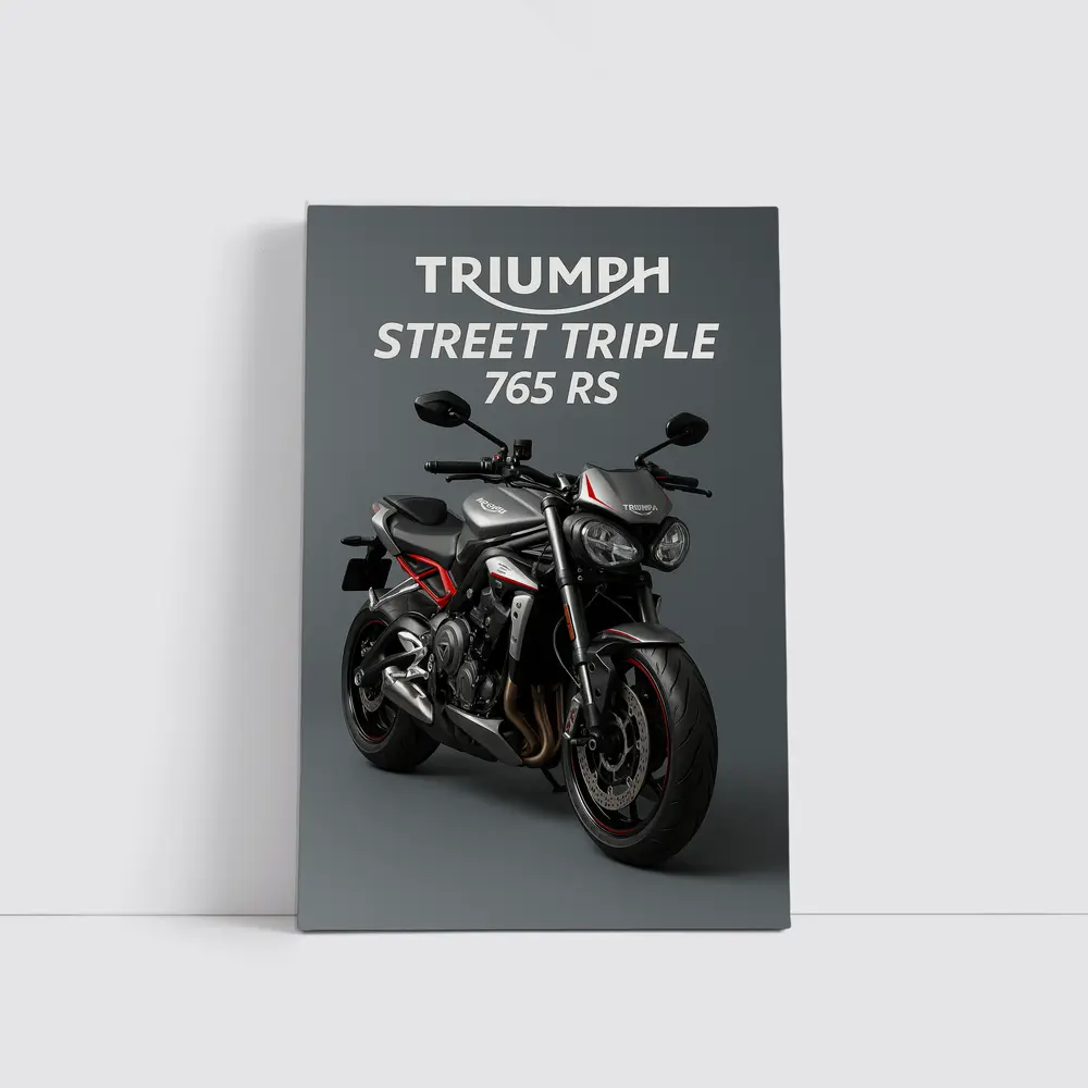 Triumph Street Triple 765 RS Gray – Wall Art