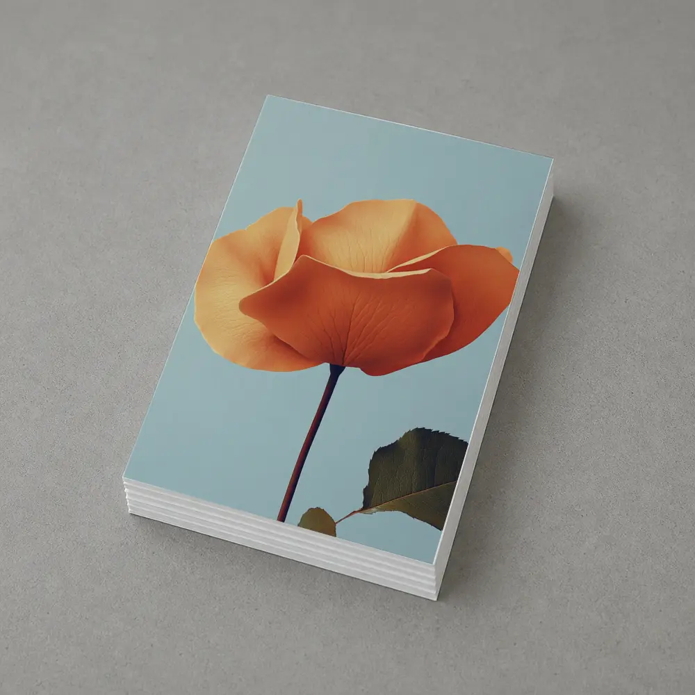 Orange Rose Flower on Light Blue Background – Postcards