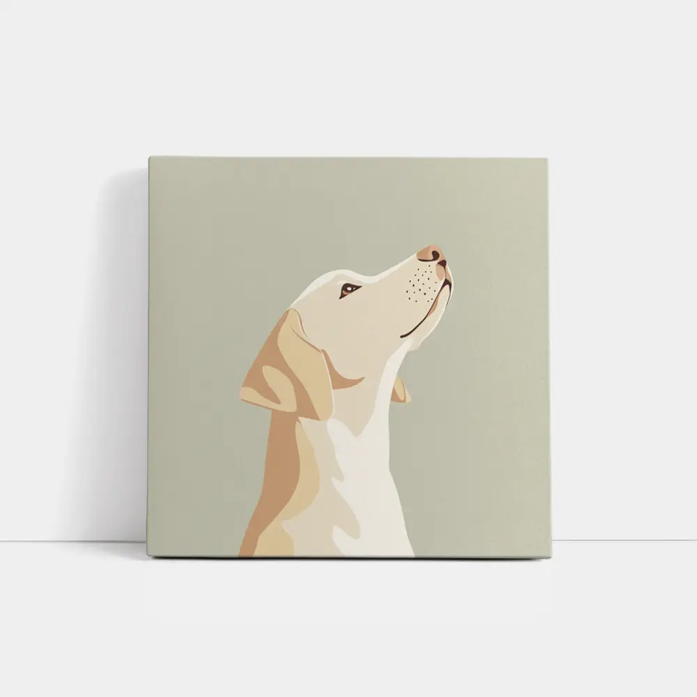 Yellow Labrador Retriever Looking Up Sage Background – Wall Art