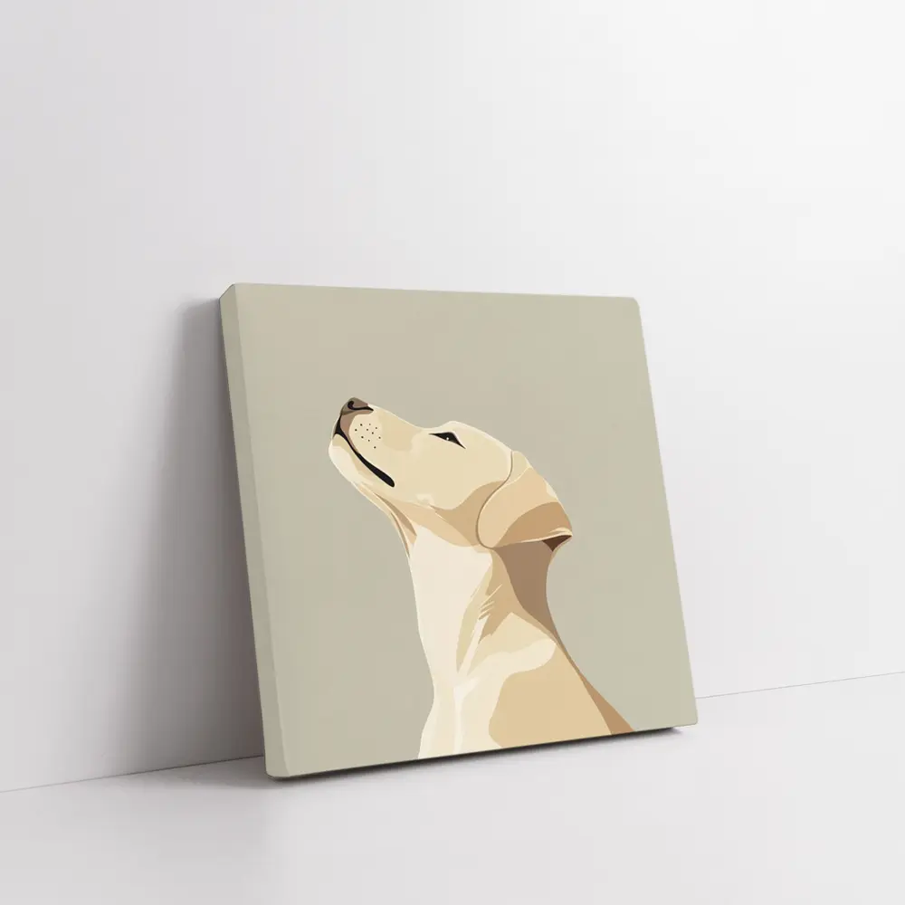 Yellow Labrador Retriever Looking Up Beige Background – Wall Art