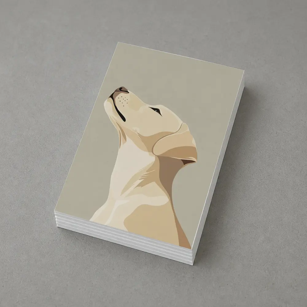 Yellow Labrador Retriever Looking Up Beige Background – Postcards