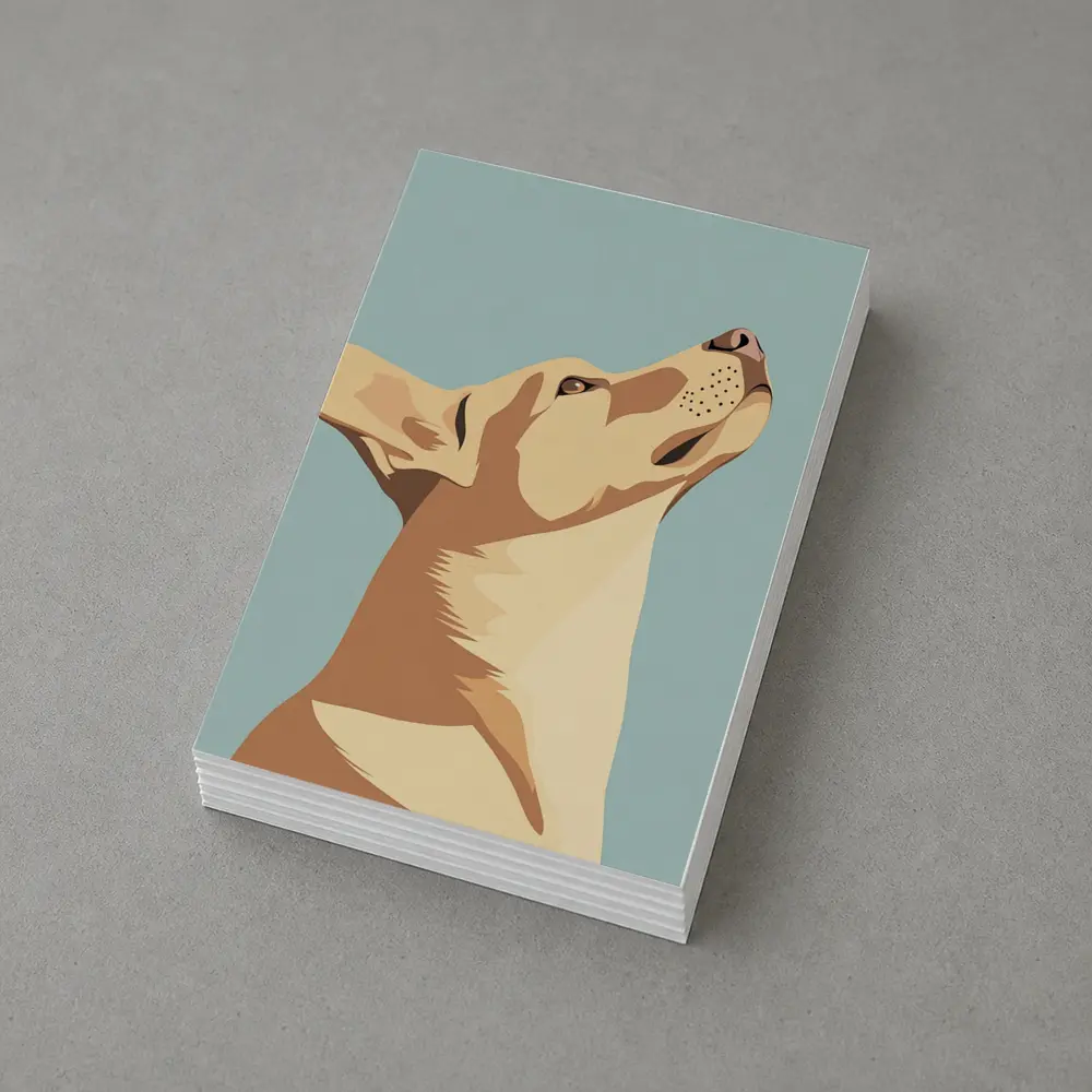 Dog Looking Up Minimal Teal Background – Postcards