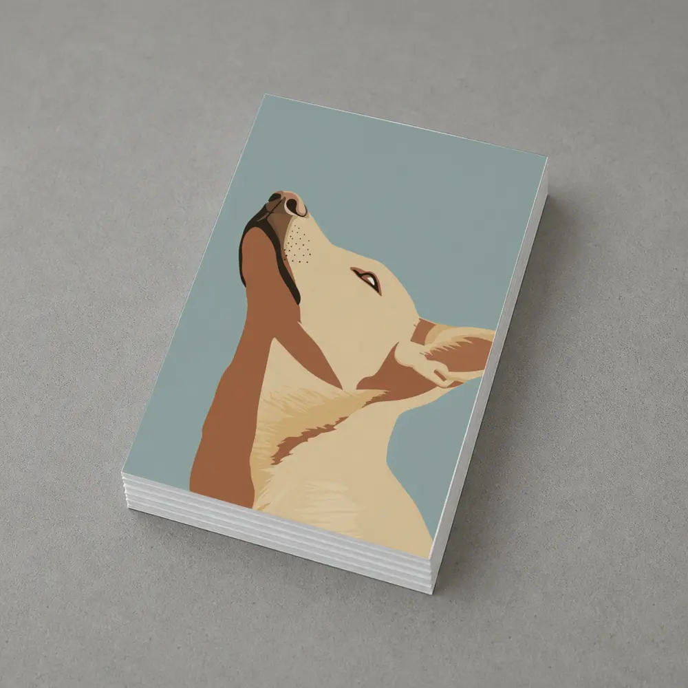 Bull Terrier Dog Portrait Blue Background – Postcards