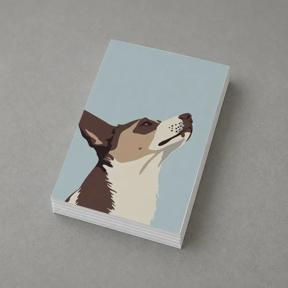 Brown White Dog Looking Up Blue Background – Postcards